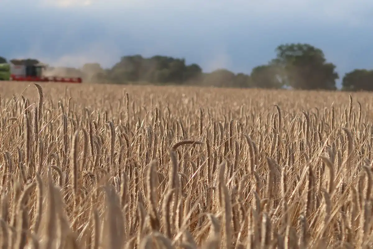 Nitrasol features both superior plant nitrition and improved Nitrogen Use Efficiency in a winning combination.<p>Produced with the widest variety of raw materials, ammonia volatilisation and losses to the air are reduced whilst accurate application minimises leaching and pollution losses to groundwater.