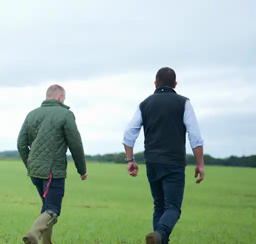 How to Assess Your Soil Nitrogen Supply (SNS) for Spring Planning