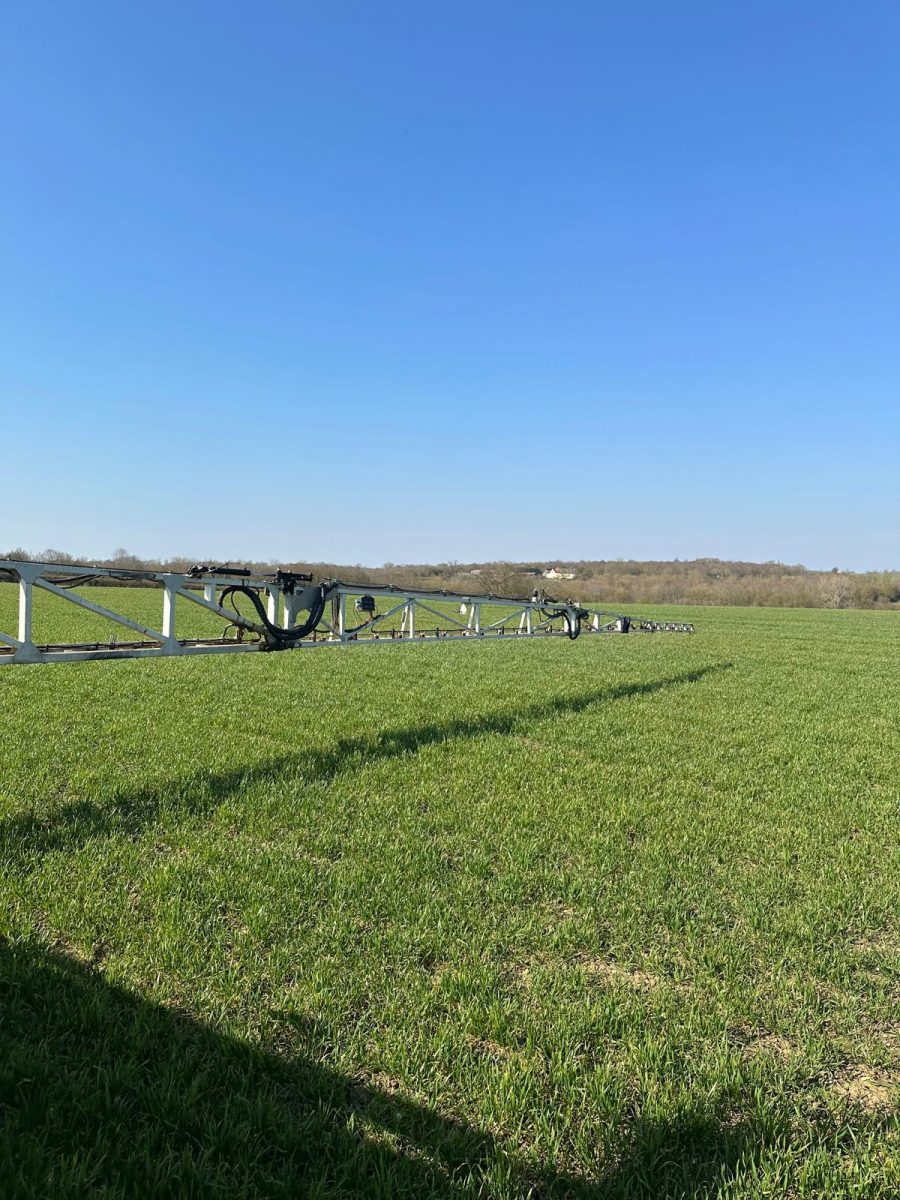 Why Consistent Application Supports Even Early Growth