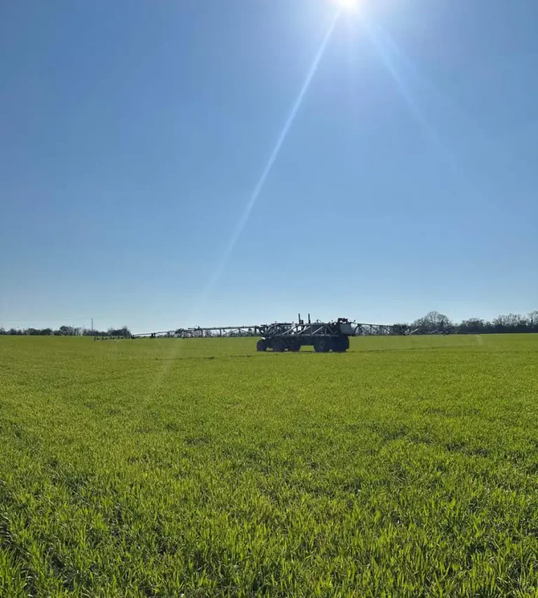 When Protected Nitrogen Becomes Relevant in Spring