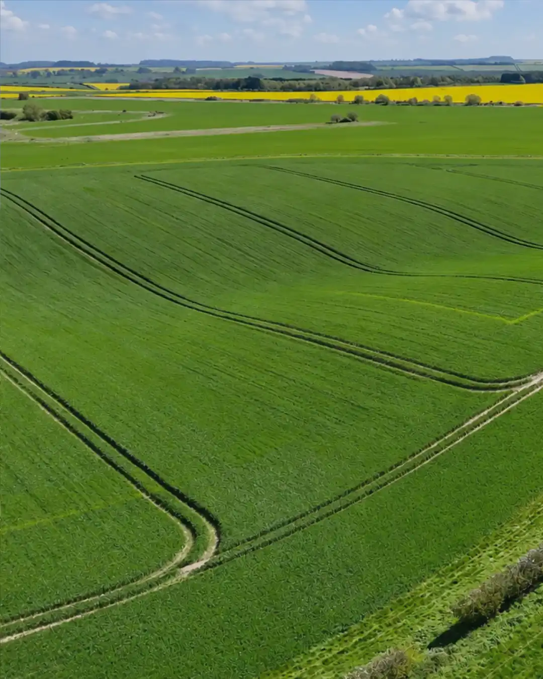 Supporting Grain Protein With Final Nitrogen Applications