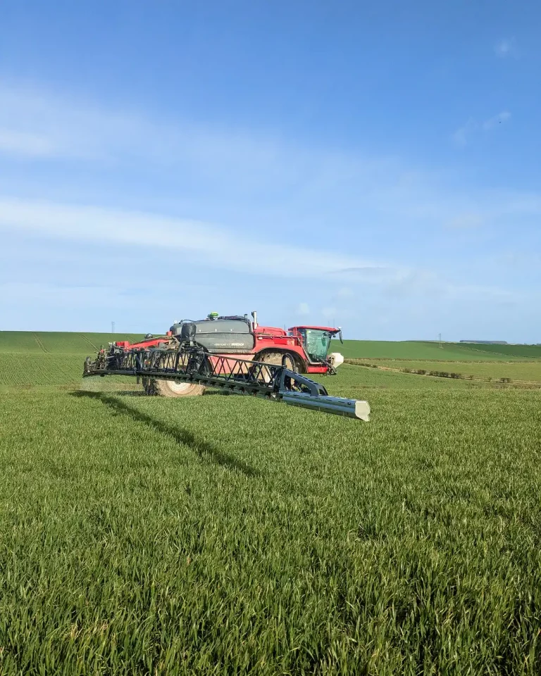 liquid versus solid fertiliser