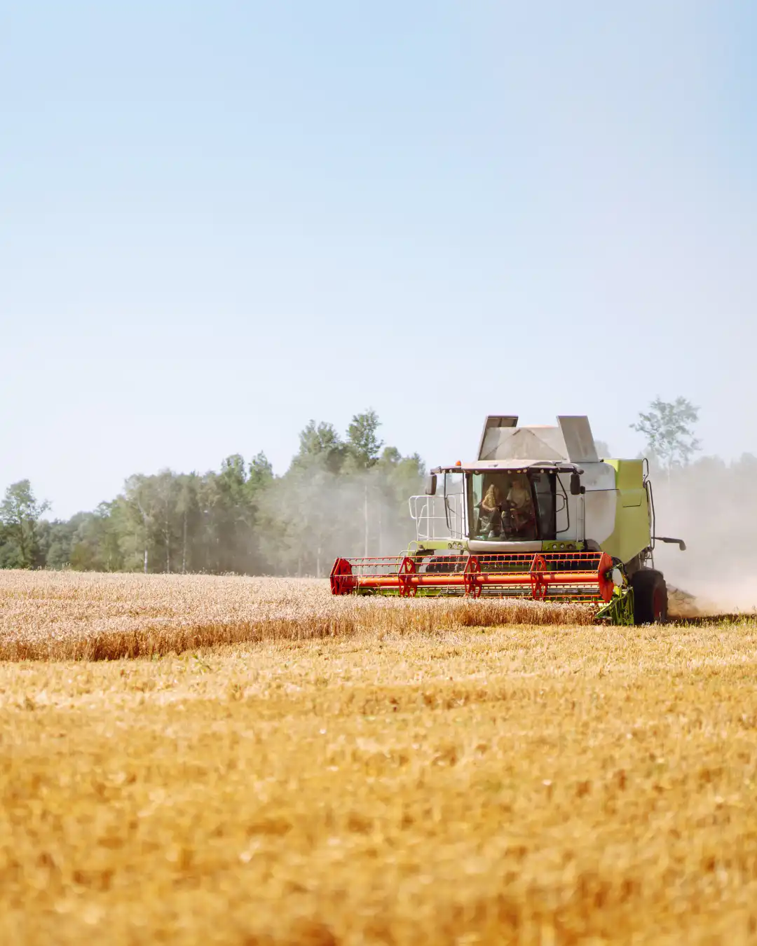 What Harvest Results Tell You About Nitrogen Efficiency