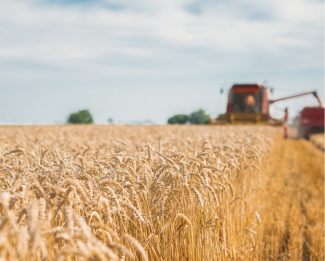 Built on Nutrition, Proven on Yield