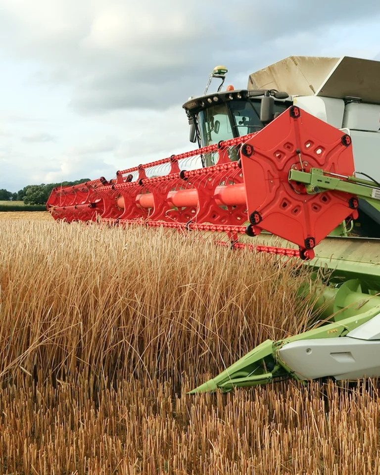 Yield Consistency