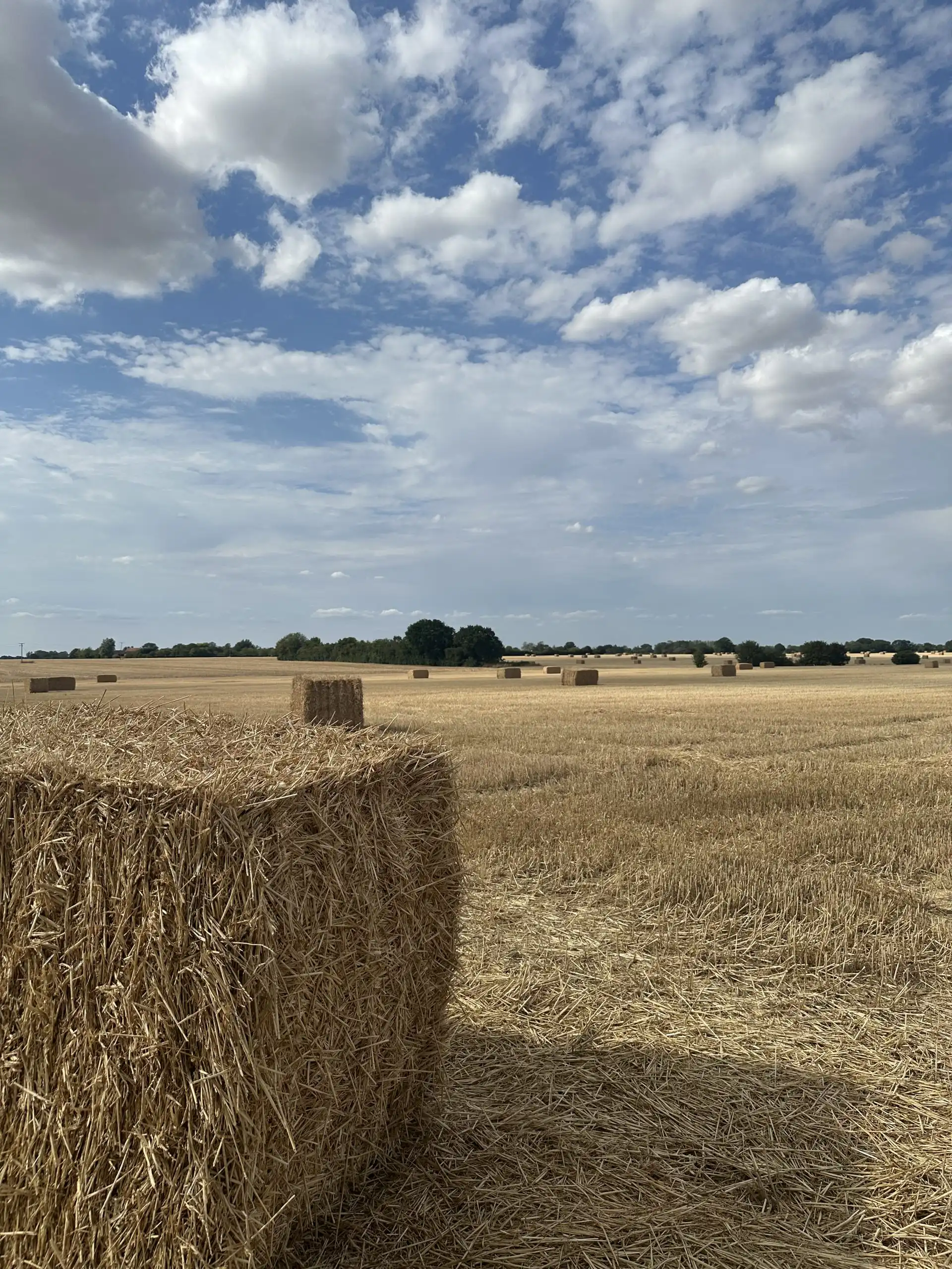 Reviewing Your Nutrition Strategy Before Autumn Planning